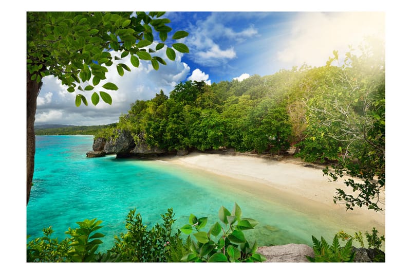 FOTOTAPET Sunny Beach 300x210 - Artgeist sp. z o. o. - Inredning & dekor - Väggdekor - Tapeter & tapettillbehör - Fototapeter