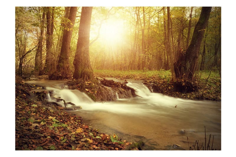 FOTOTAPET Sunny Current 350x245 - Artgeist sp. z o. o. - Inredning & dekor - Väggdekor - Tapeter & tapettillbehör - Fototapeter