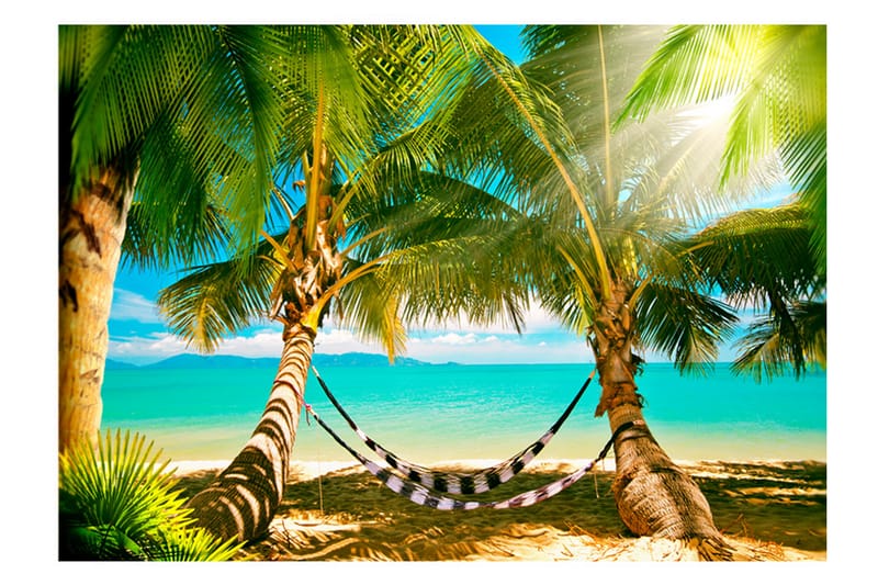 FOTOTAPET Sunny Duo 250x175, Artgeist sp. z o. o.