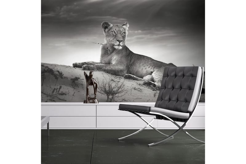 FOTOTAPET Svart Och Vitt Lejoninna 400x309, Artgeist sp. z o. o.