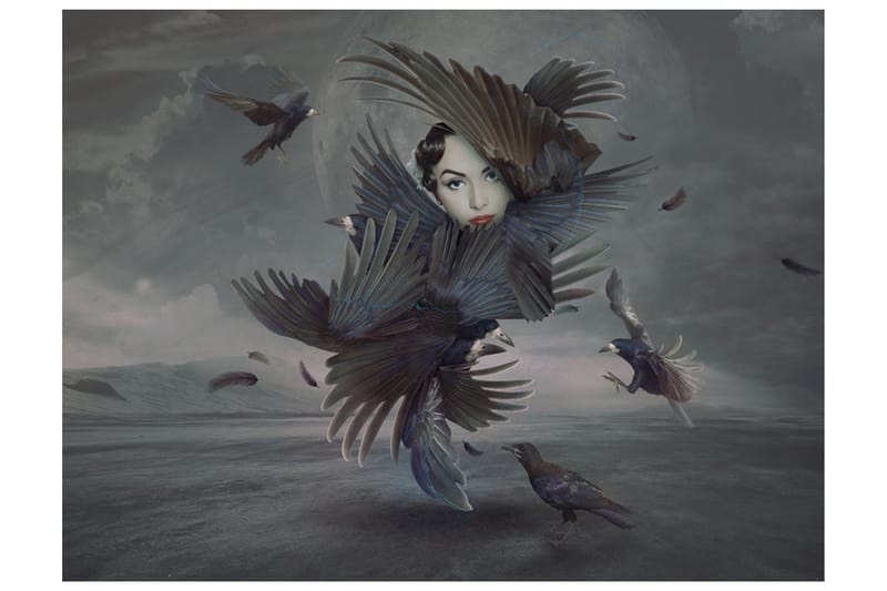 FOTOTAPET Täckt Fjädrar 250x193, Artgeist sp. z o. o.