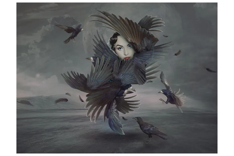 Fototapet Täckt Fjädrar 250x193, Artgeist sp. z o. o.