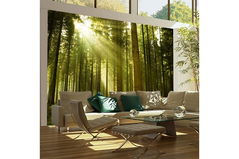 Fototapet Tallskog 200x154 - Artgeist sp. z o. o. - Inredning & dekor - Väggdekor - Tapeter & tapettillbehör - Fototapeter