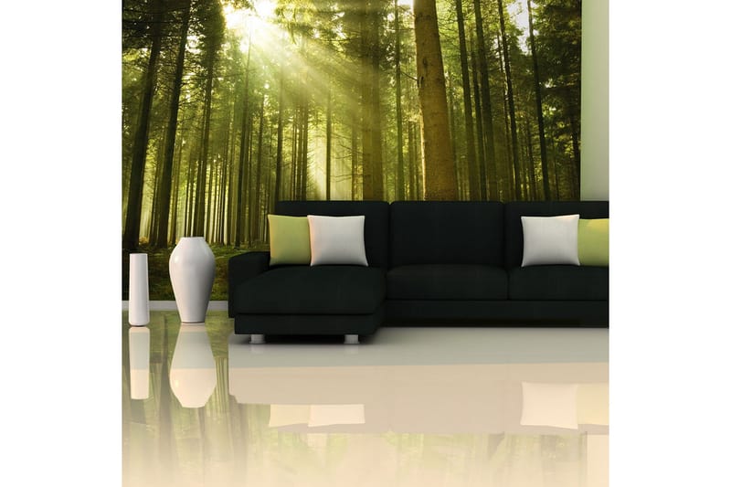 Fototapet Tallskog 450x270 - Artgeist sp. z o. o. - Inredning & dekor - Väggdekor - Tapeter & tapettillbehör - Fototapeter