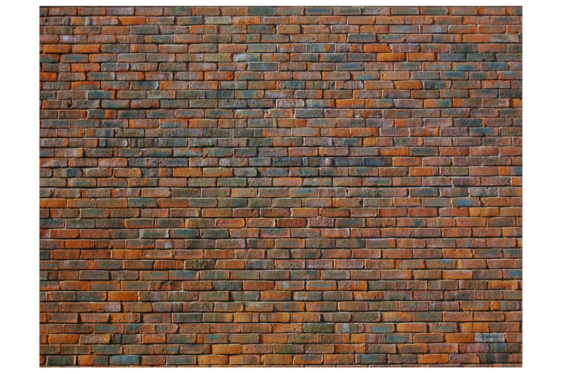 FOTOTAPET Tegelvägg 350x270 - Artgeist sp. z o. o. - Inredning & dekor - Väggdekor - Tapeter & tapettillbehör - Fototapeter