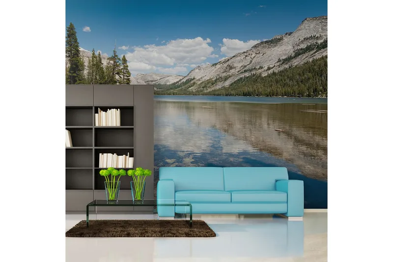 Fototapet Tenaya Lake Yosemite National Park 200x154, Artgeist sp. z o. o.