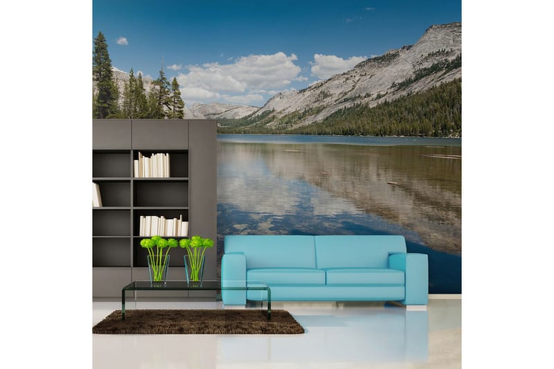 FOTOTAPET Tenaya Lake Yosemite National Park 300x231, Artgeist sp. z o. o.