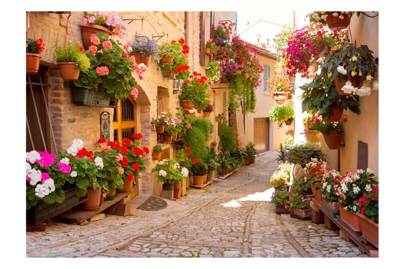 Fototapet The Alley In Spello Italy 300x210 - Artgeist sp. z o. o. - Inredning & dekor - Väggdekor - Tapeter & tapettillbehör - Fototapeter