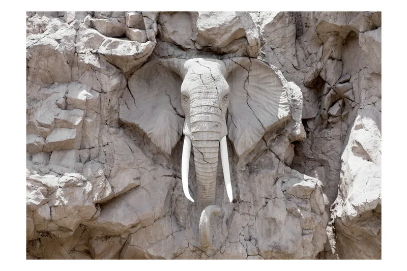 Fototapet The Bridge Of Time South Africa 300x210 - Artgeist sp. z o. o. - Inredning & dekor - Väggdekor - Tapeter & tapettillbehör - Fototapeter