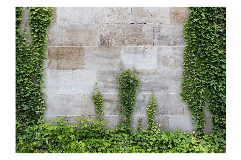 FOTOTAPET The Forgotten Garden 100x70 - Artgeist sp. z o. o. - Inredning & dekor - Väggdekor - Tapeter & tapettillbehör - Fototapeter