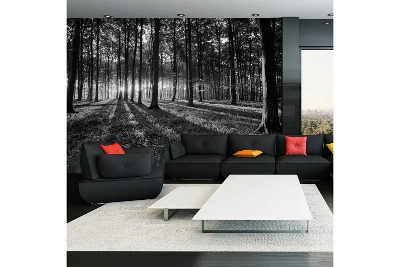 FOTOTAPET The Light In The Forest 100x70, Artgeist sp. z o. o.