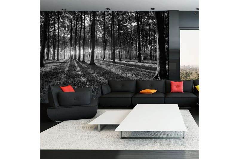 Fototapet The Light In The Forest 300x210 - Artgeist sp. z o. o. - Inredning & dekor - Väggdekor - Tapeter & tapettillbehör - Fototapeter