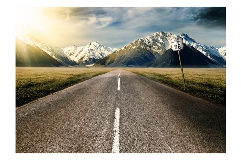 Fototapet The Long Road 250x175 - Artgeist sp. z o. o. - Inredning & dekor - Väggdekor - Tapeter & tapettillbehör - Fototapeter