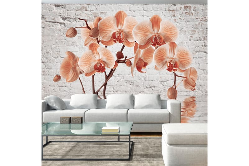 FOTOTAPET The Orange Arc 350x245, Artgeist sp. z o. o.