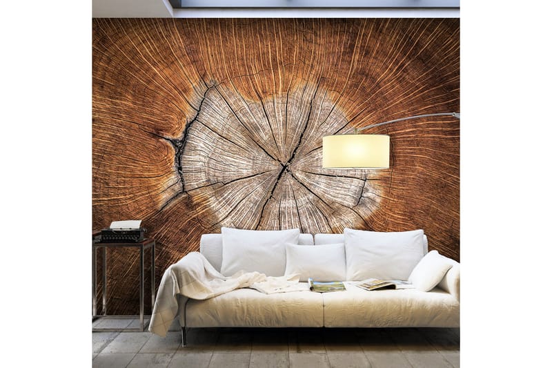 FOTOTAPET The Soul Of A Tree 350x245, Artgeist sp. z o. o.