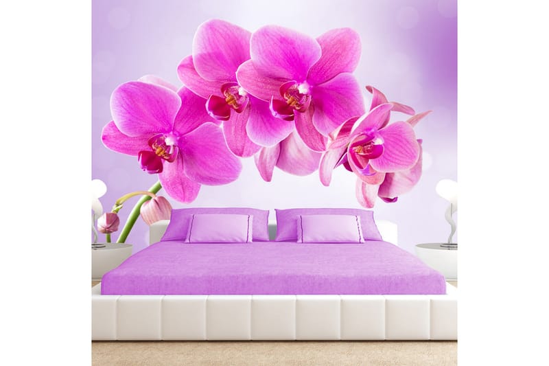 FOTOTAPET Thoughtfulness 250x175, Artgeist sp. z o. o.