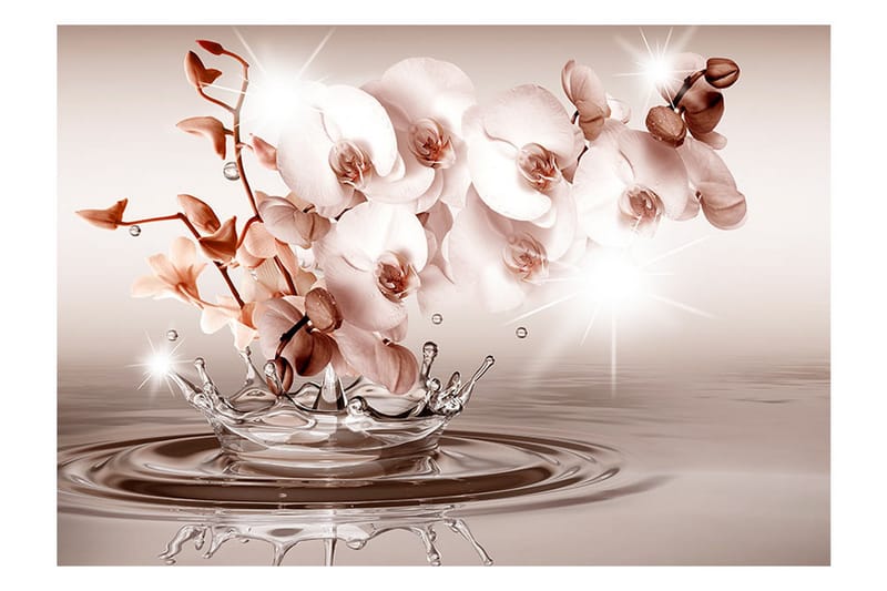 Fototapet Touch Of Tenderness 200x140 - Artgeist sp. z o. o. - Inredning & dekor - Väggdekor - Tapeter & tapettillbehör - Fototapeter