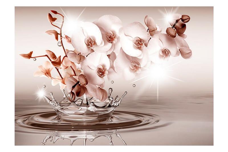 FOTOTAPET Touch Of Tenderness 300x210 - Artgeist sp. z o. o. - Inredning & dekor - Väggdekor - Tapeter & tapettillbehör - Fototapeter