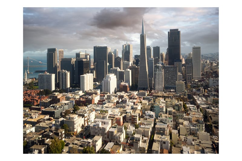 FOTOTAPET Träd Höst Tunnel 400x309, Artgeist sp. z o. o.