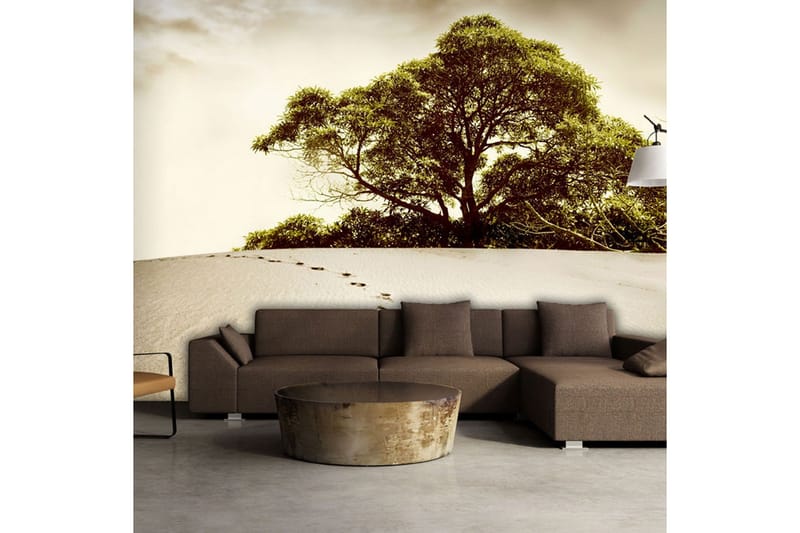 Fototapet Träd Öknen 350x270 - Artgeist sp. z o. o. - Inredning & dekor - Väggdekor - Tapeter & tapettillbehör - Fototapeter