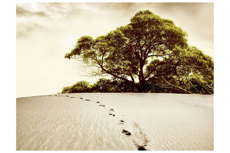 Fototapet Träd Öknen 350x270, Artgeist sp. z o. o.