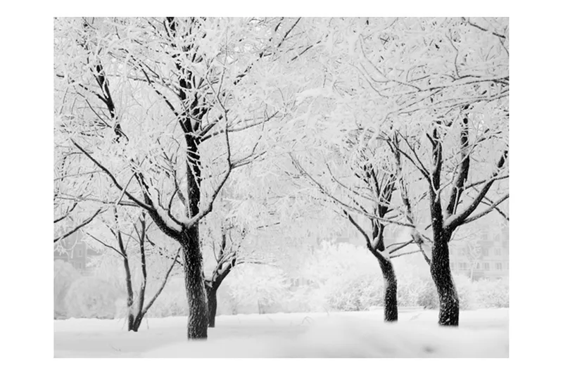 Fototapet Träd Vinter Landskap 400x309 - Artgeist sp. z o. o. - Inredning & dekor - Väggdekor - Tapeter & tapettillbehör - Fototapeter