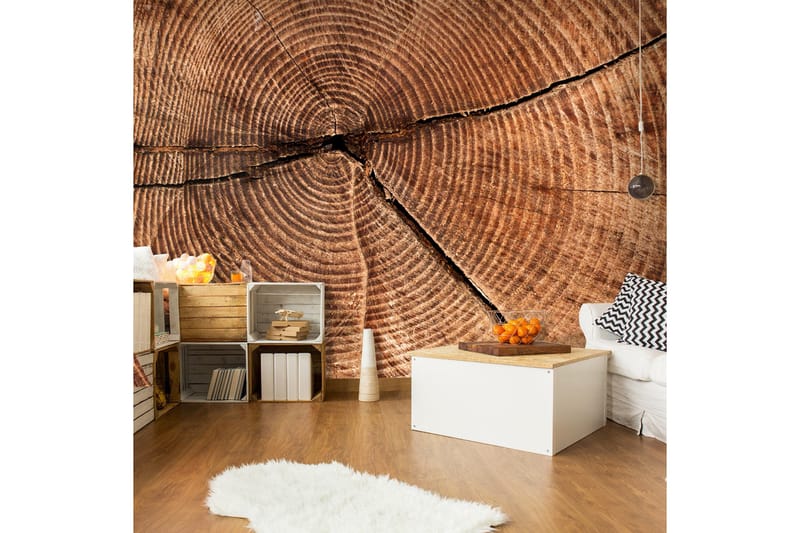 Fototapet Trädstam Tvärsnitt 300x231, Artgeist sp. z o. o.