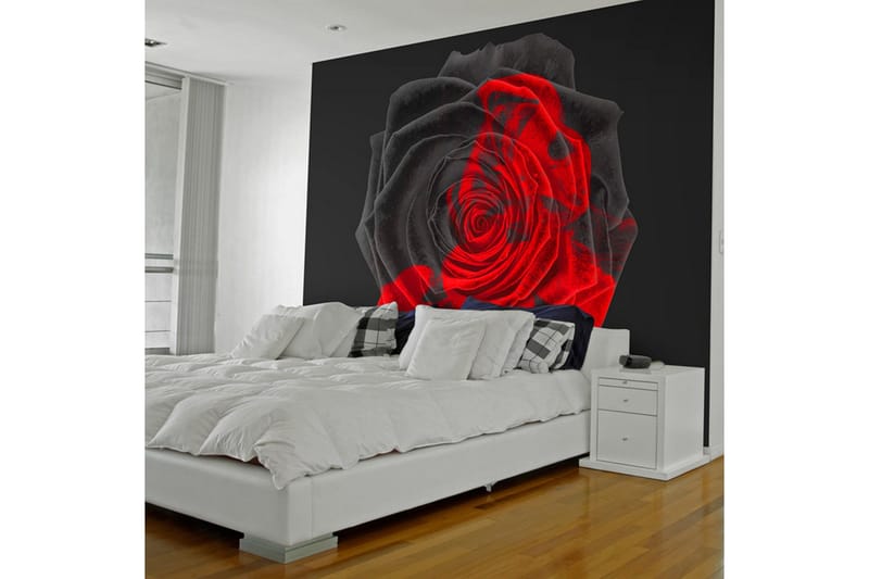 Fototapet Transformation 250x193 - Artgeist sp. z o. o. - Inredning & dekor - Väggdekor - Tapeter & tapettillbehör - Fototapeter