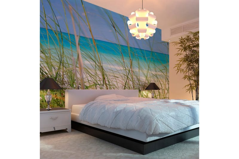 Fototapet Tropical Journey 450x270 - Artgeist sp. z o. o. - Inredning & dekor - Väggdekor - Tapeter & tapettillbehör - Fototapeter