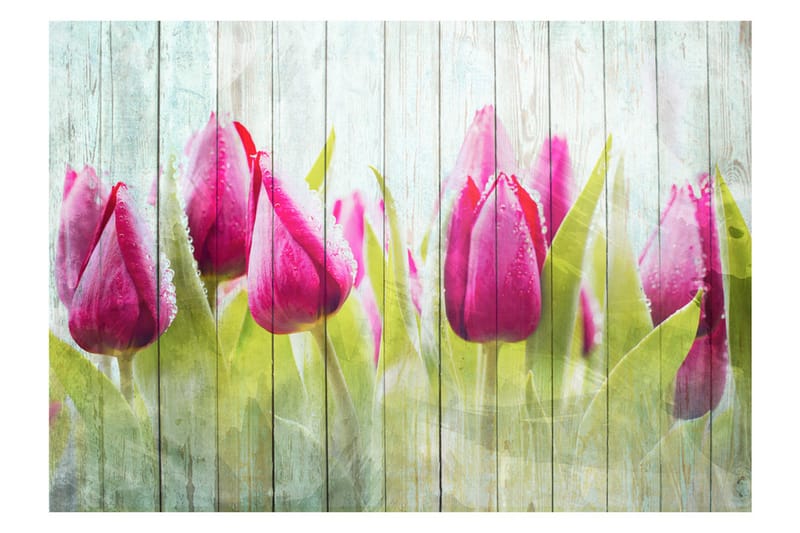 FOTOTAPET Tulips On White Wood 200x140 - Artgeist sp. z o. o. - Inredning & dekor - Väggdekor - Tapeter & tapettillbehör - Fototapeter