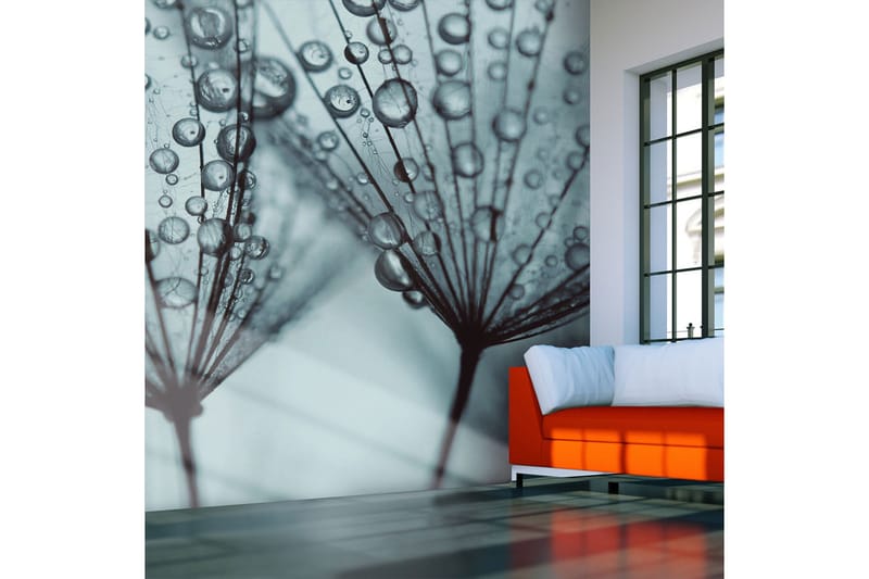 Fototapet Turkos Maskros 350x270 - Artgeist sp. z o. o. - Inredning & dekor - Väggdekor - Tapeter & tapettillbehör - Fototapeter