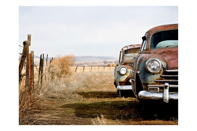 Fototapet Två Gamla Amerikanska Bilar 350x270, Artgeist sp. z o. o.