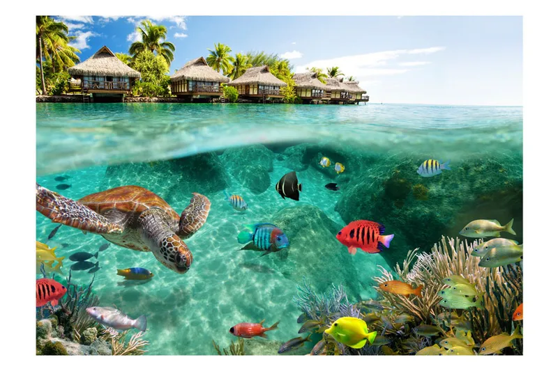 Fototapet Under The Surface Of Water 250x175 - Artgeist sp. z o. o. - Inredning & dekor - Väggdekor - Tapeter & tapettillbehör - Fototapeter