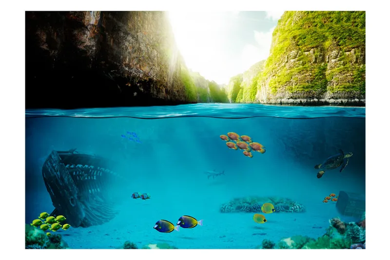 Fototapet Under The Waterline 350x245 - Artgeist sp. z o. o. - Inredning & dekor - Väggdekor - Tapeter & tapettillbehör - Fototapeter