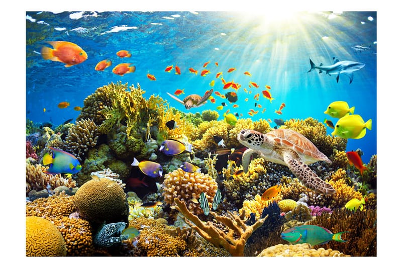 FOTOTAPET Underwater Land 350x245 - Artgeist sp. z o. o. - Inredning & dekor - Väggdekor - Tapeter & tapettillbehör - Fototapeter