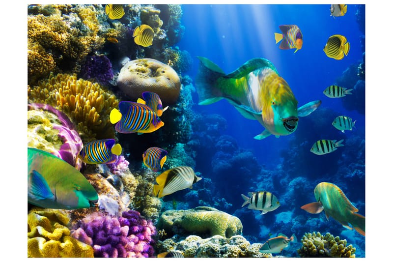 FOTOTAPET Underwater Paradis 300x231 - Artgeist sp. z o. o. - Inredning & dekor - Väggdekor - Tapeter & tapettillbehör - Fototapeter