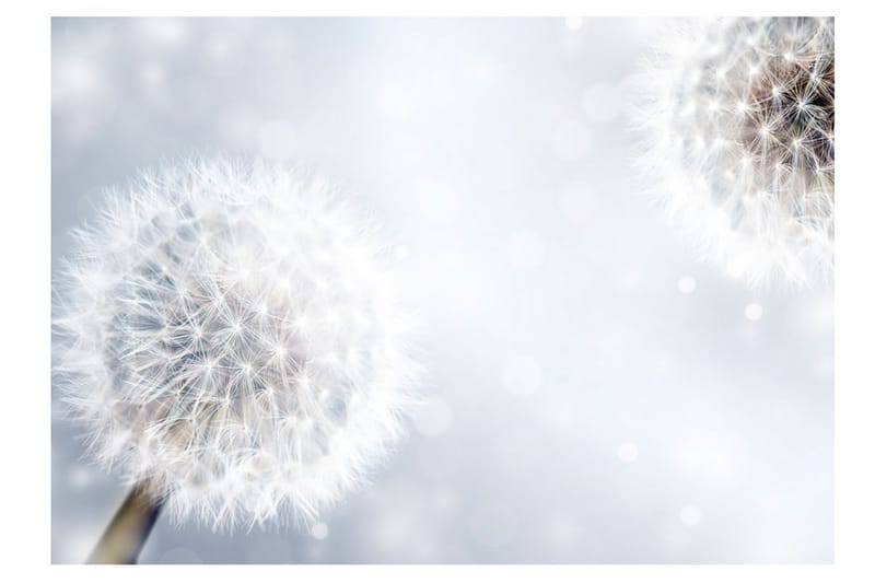 Fototapet Unpredictable Moments 200x140 - Artgeist sp. z o. o. - Inredning & dekor - Väggdekor - Tapeter & tapettillbehör - Fototapeter