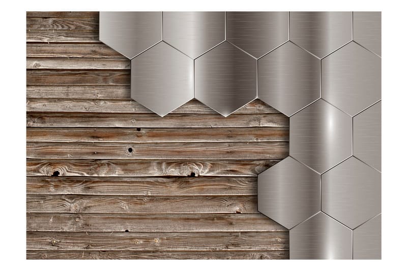 Fototapet Unusual Duet 400x280 - Artgeist sp. z o. o. - Inredning & dekor - Väggdekor - Tapeter & tapettillbehör - Fototapeter