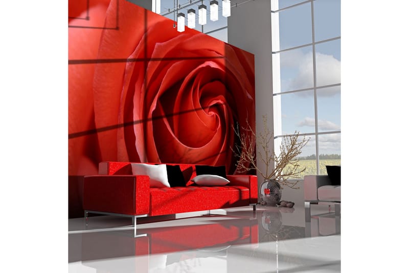 Fototapet Uppvaknande Ros 300x231, Artgeist sp. z o. o.