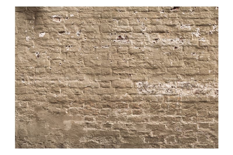 FOTOTAPET Urban Oasis 150x105 - Artgeist sp. z o. o. - Inredning & dekor - Väggdekor - Tapeter & tapettillbehör - Fototapeter