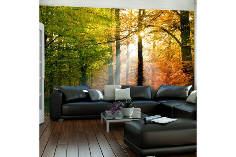 FOTOTAPET Vacker Höst 350x270 - Artgeist sp. z o. o. - Inredning & dekor - Väggdekor - Tapeter & tapettillbehör - Fototapeter