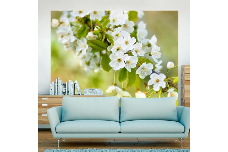 FOTOTAPET Vackra Känsliga Körsbär Blommar 200x154 - Artgeist sp. z o. o. - Inredning & dekor - Väggdekor - Tapeter & tapettillbehör - Fototapeter