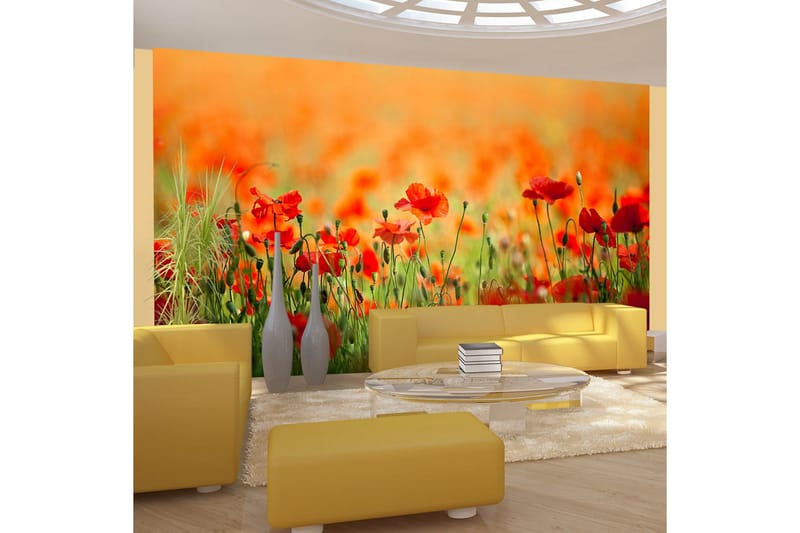 Fototapet Vallmo Skinande Sommardag 450x270 - Artgeist sp. z o. o. - Inredning & dekor - Väggdekor - Tapeter & tapettillbehör - Fototapeter