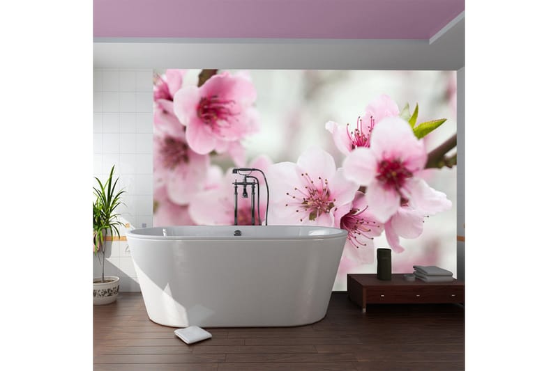 FOTOTAPET Vår Blommande Träd Rosa 200x154, Artgeist sp. z o. o.