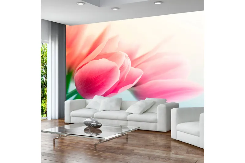 Fototapet Vår Och Tulpaner 300x231, Artgeist sp. z o. o.