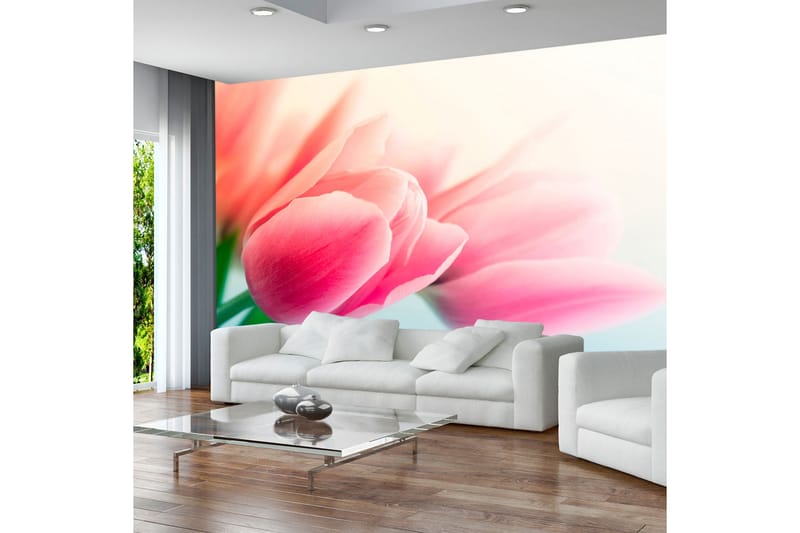 FOTOTAPET Vår Och Tulpaner 350x270 - Artgeist sp. z o. o. - Inredning & dekor - Väggdekor - Tapeter & tapettillbehör - Fototapeter