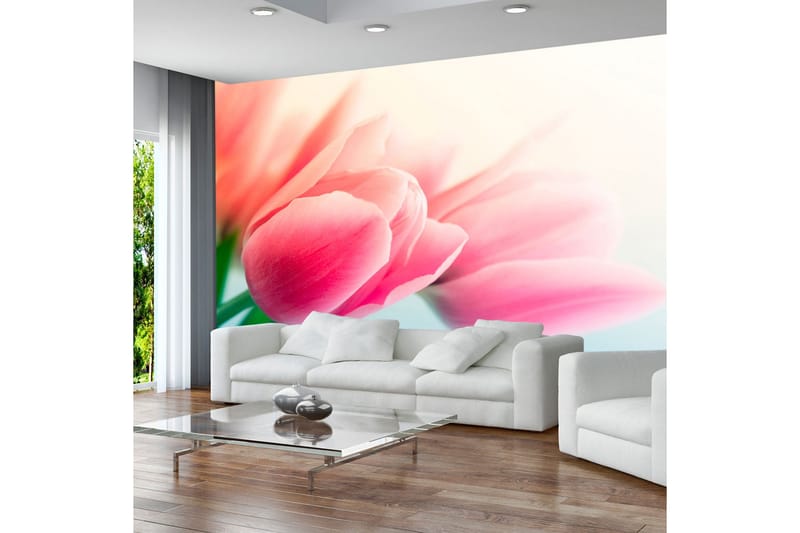 Fototapet Vår Och Tulpaner 350x270, Artgeist sp. z o. o.