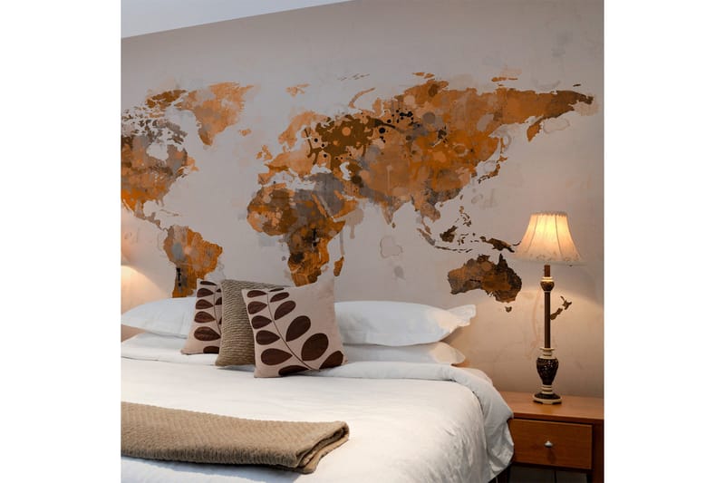 Fototapet Världen Bruna Nyanser 200x154, Artgeist sp. z o. o.