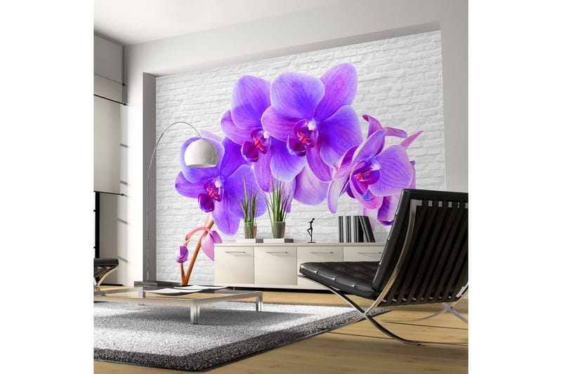 Fototapet Violet Excitation 250x175, Artgeist sp. z o. o.