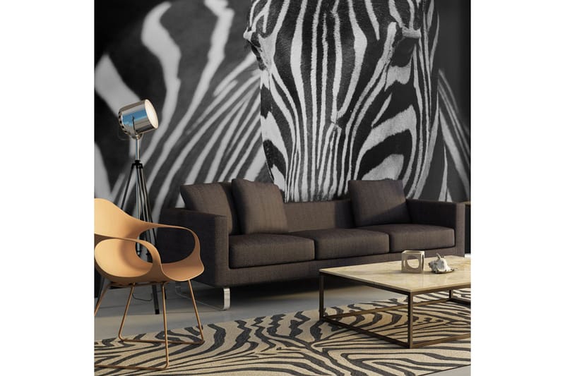 Fototapet Vit Med Svarta Ränder 200x154 - Artgeist sp. z o. o. - Inredning & dekor - Väggdekor - Tapeter & tapettillbehör - Fototapeter